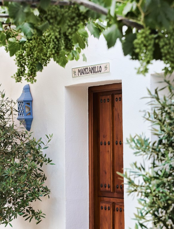 Casa Rural El Olivar